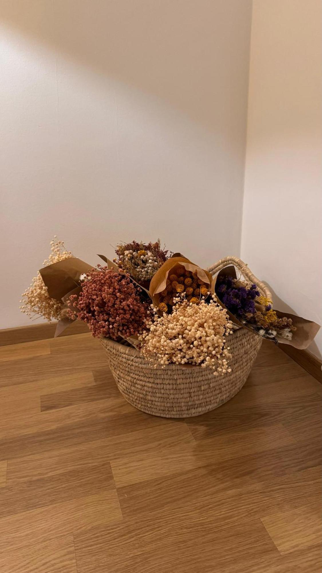 בארי Laus Via Niccolo Putignani Cozy Apartment מראה חיצוני תמונה